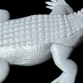 Mô hình Cá sấu nước mặn (Saltwater Crocodile) - Thumbnail 2
