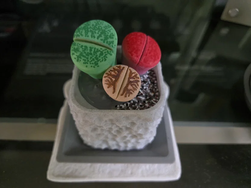 Mô hình cây Lithops kèm chậu - Image 1