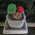 Mô hình cây Lithops kèm chậu - Thumbnail 1