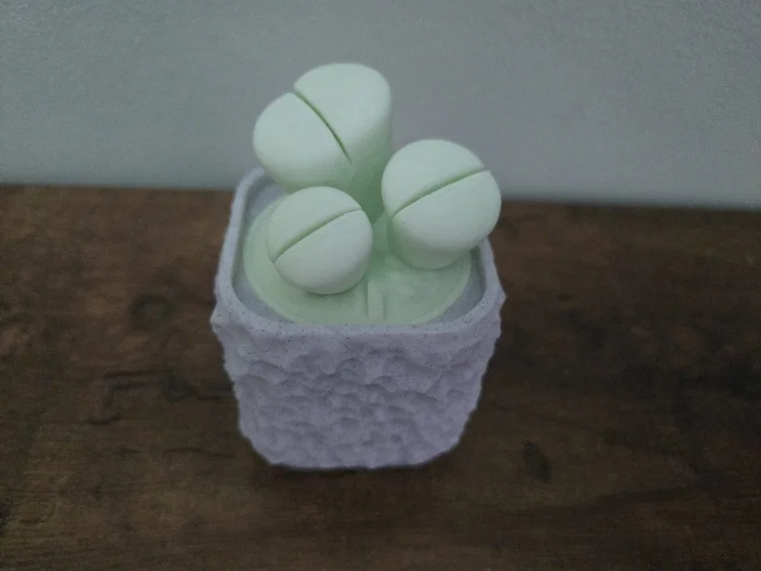 Mô hình cây Lithops kèm chậu - Image 3