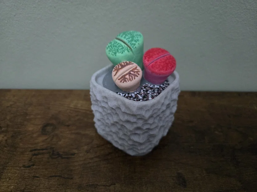 Mô hình cây Lithops kèm chậu - Image 4