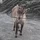 flatisboring_2105249