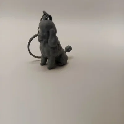 Móc khóa hình chó Poodle