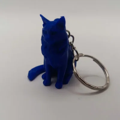 Móc khóa mèo Maine Coon