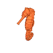 Mô hình chú cá ngựa 3D tinh xảo để bàn (Seepferdchen)