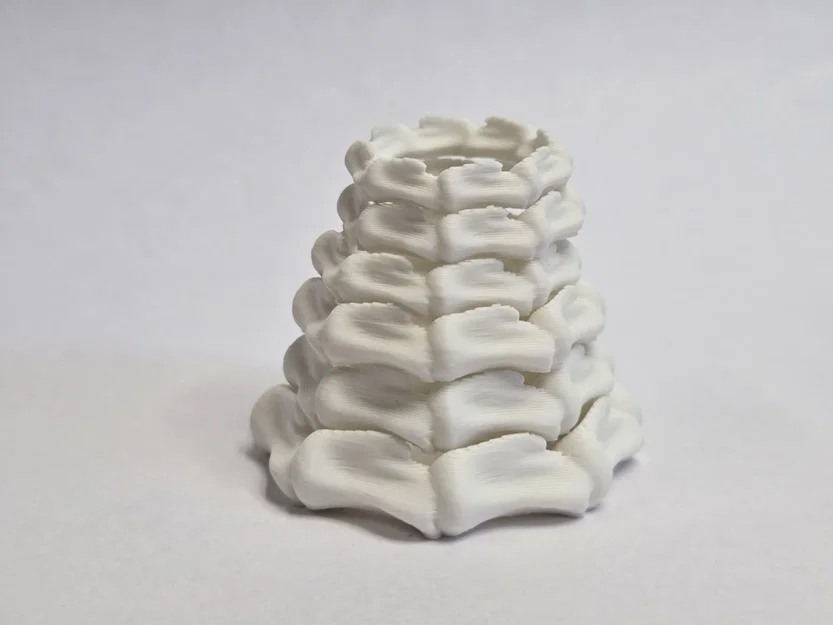 Nhẫn Xương Bone Ring: Phụ Kiện In 3D Độc Đáo Cho Phong Cách Cá Tính - Image 2