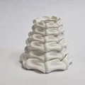 Nhẫn Xương Bone Ring: Phụ Kiện In 3D Độc Đáo Cho Phong Cách Cá Tính - Thumbnail 2