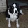 TomDreyfus_1520685