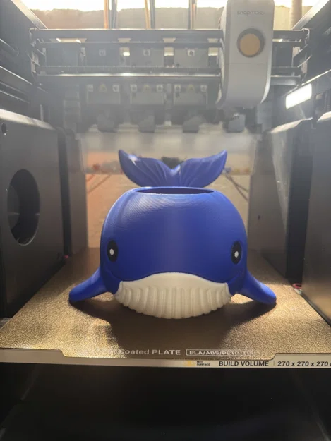 Mẫu in 3D cá voi chibi đa năng: Ống cắm bút và chậu cây xinh xắn - Image 4