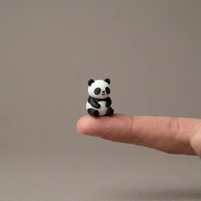 Chú Gấu Trúc Nhỏ Mini Panda Buddy