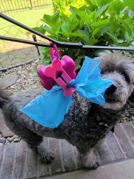 Móc treo túi hốt phân cho chó hình xương - Image 1