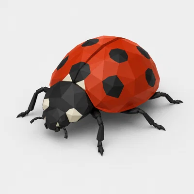 Mô hình Bọ rùa Low Poly đáng yêu - Tải file in 3D chất lượng