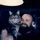 CodexFons_2751116