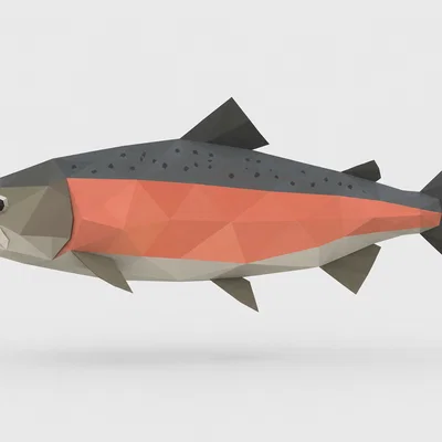 Mô hình cá hồi Low Poly ấn tượng - File in 3D đẹp mắt