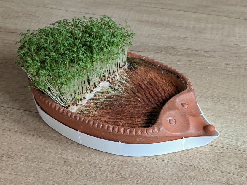 Khay thay thế cho chú nhím trồng cải mầm Römertopf Kresseigel - Image 1