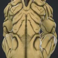 Mô hình Orc ngồi đầy chi tiết (Orc unbekleidet sitzend) in 3D - Thumbnail 1