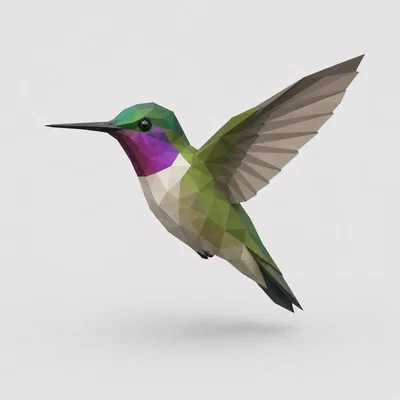 Mô hình Chim Ruồi Low Poly - File in 3D nghệ thuật độc đáo