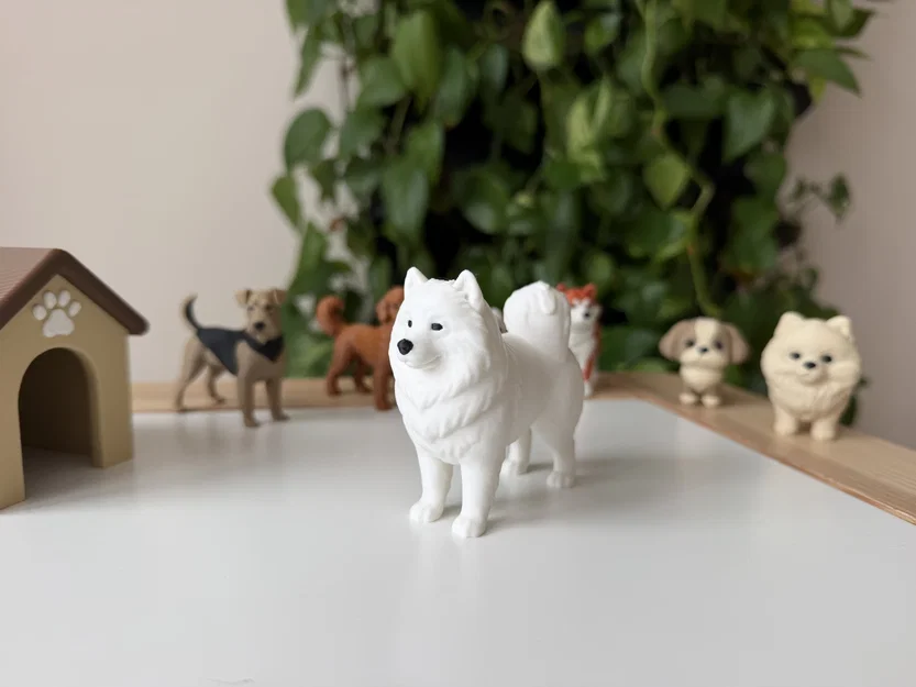 Mô hình 3D Samoyed - Giống chó tuyết thân thiện - Image 1