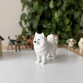 Mô hình 3D Samoyed - Giống chó tuyết thân thiện - Thumbnail 1