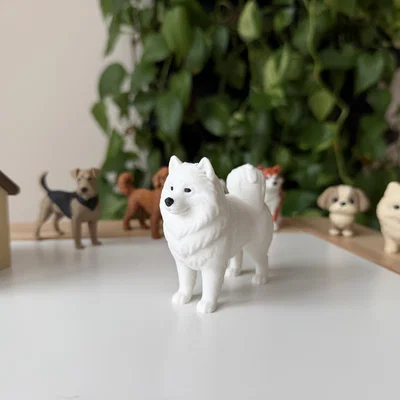 Mô hình 3D Samoyed - Giống chó tuyết thân thiện