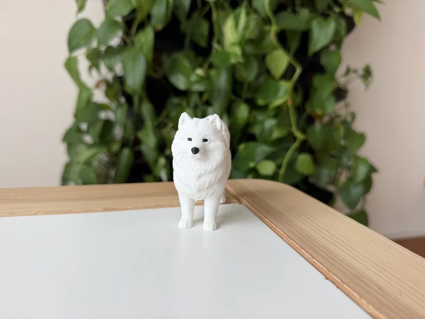 Mô hình 3D Samoyed - Giống chó tuyết thân thiện - Image 2