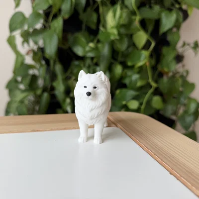 Mô hình 3D Samoyed - Giống chó tuyết thân thiện