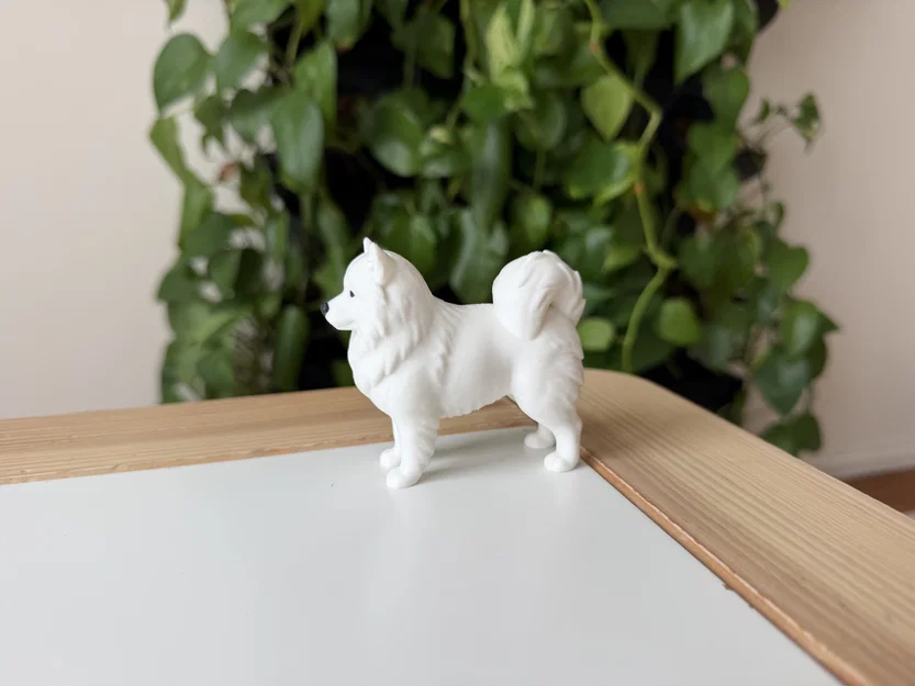 Mô hình 3D Samoyed - Giống chó tuyết thân thiện - Image 3