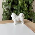 Mô hình 3D Samoyed - Giống chó tuyết thân thiện - Thumbnail 3
