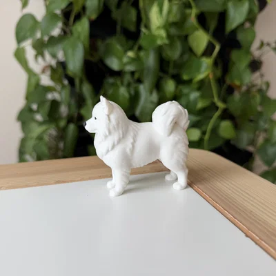 Mô hình 3D Samoyed - Giống chó tuyết thân thiện