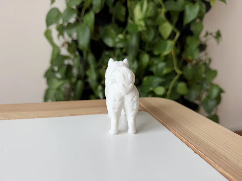 Mô hình 3D Samoyed - Giống chó tuyết thân thiện - Image 4