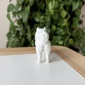 Mô hình 3D Samoyed - Giống chó tuyết thân thiện - Thumbnail 4