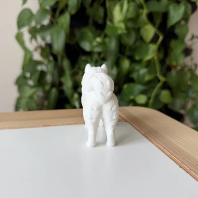 Mô hình 3D Samoyed - Giống chó tuyết thân thiện