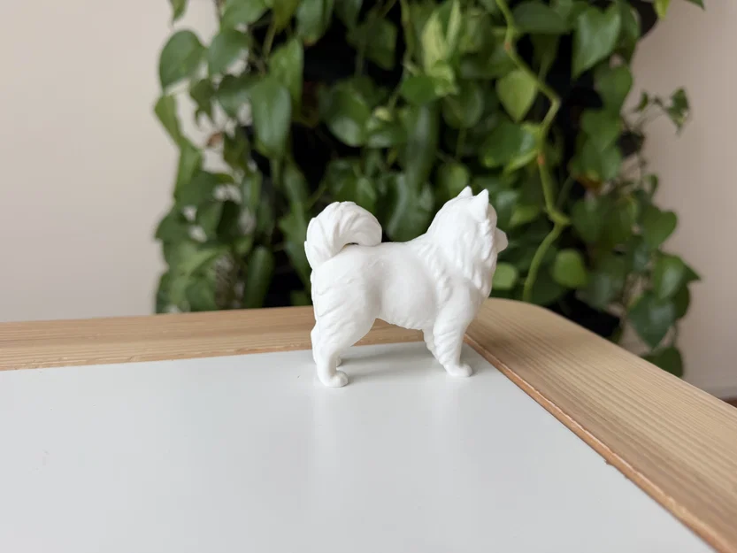 Mô hình 3D Samoyed - Giống chó tuyết thân thiện - Image 5