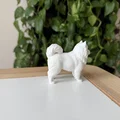 Mô hình 3D Samoyed - Giống chó tuyết thân thiện - Thumbnail 5