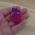 Mô hình trái tim Realistic Heart Clicker - Thumbnail 1