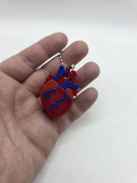 Mô hình trái tim Realistic Heart Clicker - Image 2