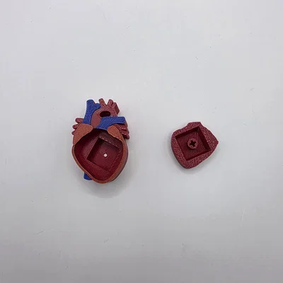 Mô hình trái tim Realistic Heart Clicker