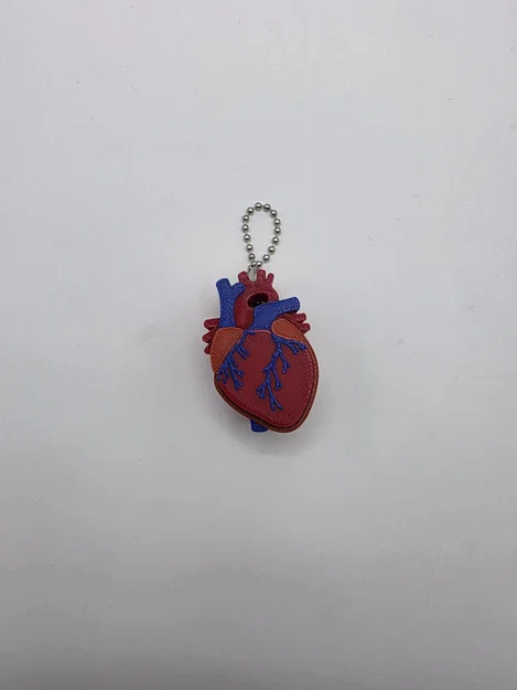 Mô hình trái tim Realistic Heart Clicker - Image 4