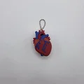 Mô hình trái tim Realistic Heart Clicker - Thumbnail 4