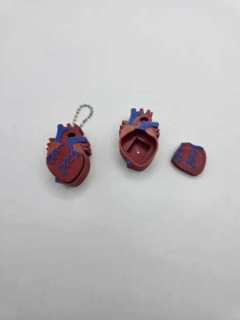 Mô hình trái tim Realistic Heart Clicker - Image 5