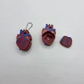 Mô hình trái tim Realistic Heart Clicker - Thumbnail 5