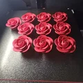Rosa Colombiana - Mẫu hoa hồng 3D đẹp làm quà tặng Ngày của Mẹ - Thumbnail 2