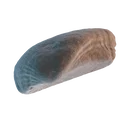 Mô hình vỏ sò 3D (Seashell 3D Scan) tinh xảo - Tải tệp STL miễn phí - Thumbnail 1