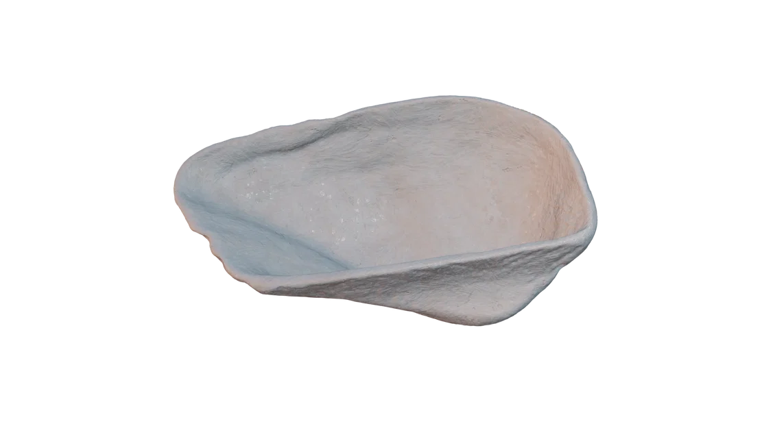 Mô hình vỏ sò 3D (Seashell 3D Scan) tinh xảo - Tải tệp STL miễn phí - Image 2