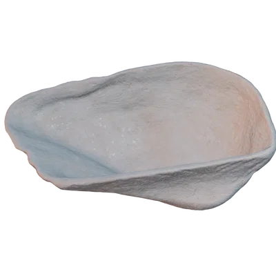 Mô hình vỏ sò 3D (Seashell 3D Scan) tinh xảo - Tải tệp STL miễn phí