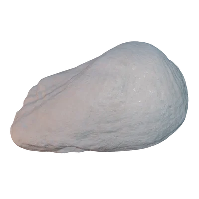 Mô hình vỏ sò 3D (Seashell 3D Scan) tinh xảo - Tải tệp STL miễn phí
