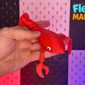 Tôm Hùm Flexi Xếp Khớp - In Nguyên Khối (Print-in-Place) - Không Cần Support - Thumbnail 1