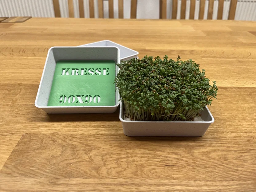 Bộ dụng cụ trồng rau mầm Cress – Kèm hướng dẫn chi tiết - Image 1