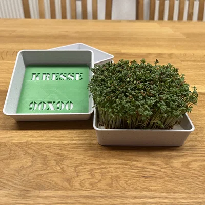 Bộ dụng cụ trồng rau mầm Cress – Kèm hướng dẫn chi tiết