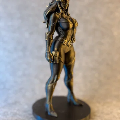 Shadow Feline – Mô Hình Tượng 3D Nữ Anh Hùng Mèo Bí Ẩn